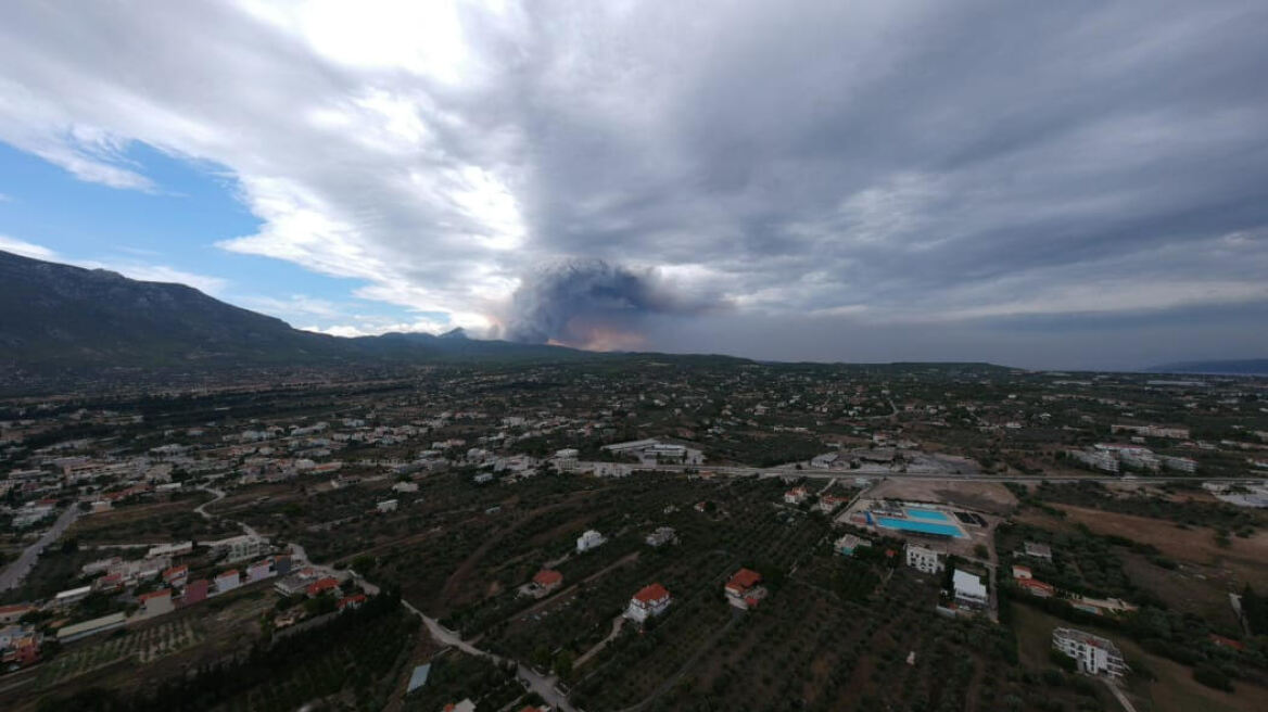 fire_loutraki_alepochori