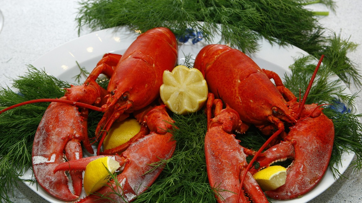 lobster-1