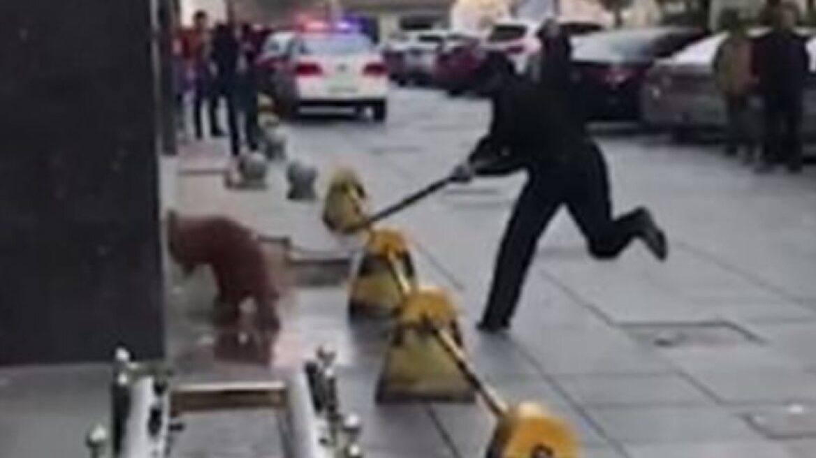 Shocking video shows police officer beating dog to death! (warning: graphic video)
