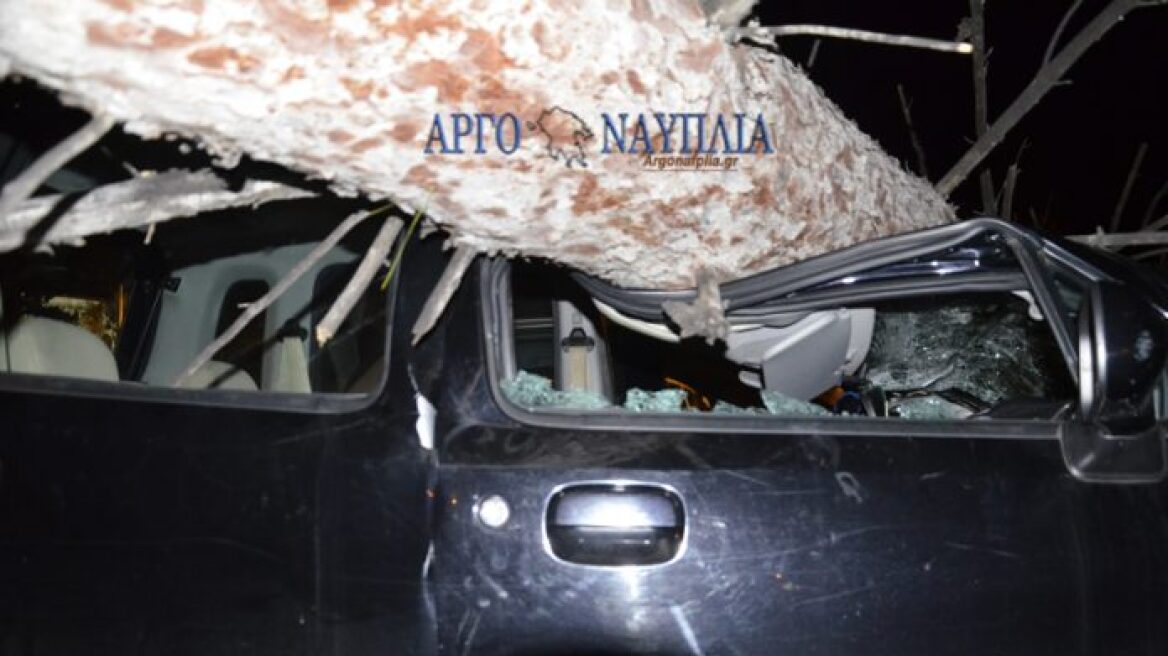 Ναύπλιο: Άνεμοι 8 μποφόρ έσπασαν δέντρα και πλάκωσαν αυτοκίνητα
