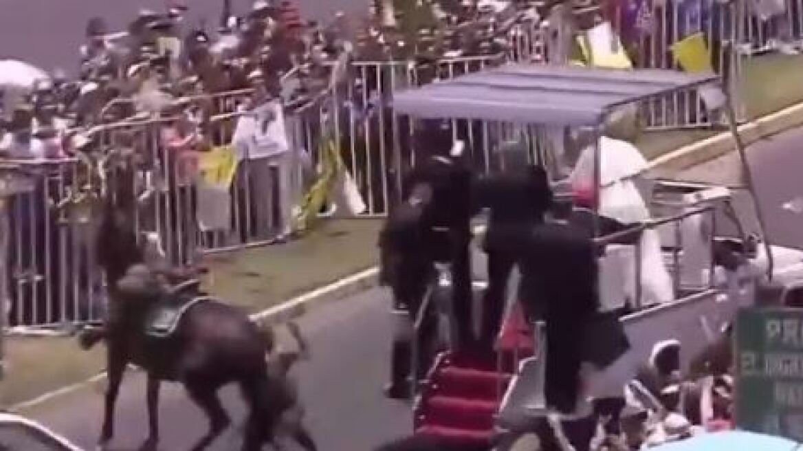 Ο Πάπας σταμάτησε το popemobile για να βοηθήσει έφιππη αστυνομικό που έπεσε από το άλογο