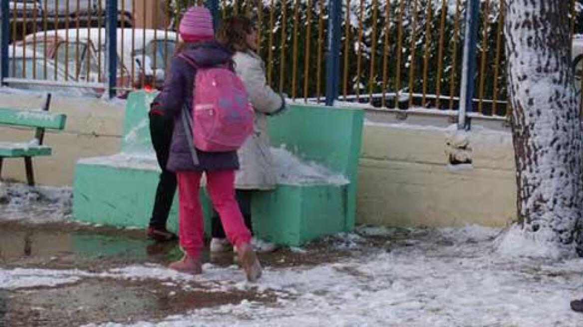 Κακοκαιρία: Δυο ώρες αργότερα τα μαθήματα στα σχολεία του δήμου Πρεσπών