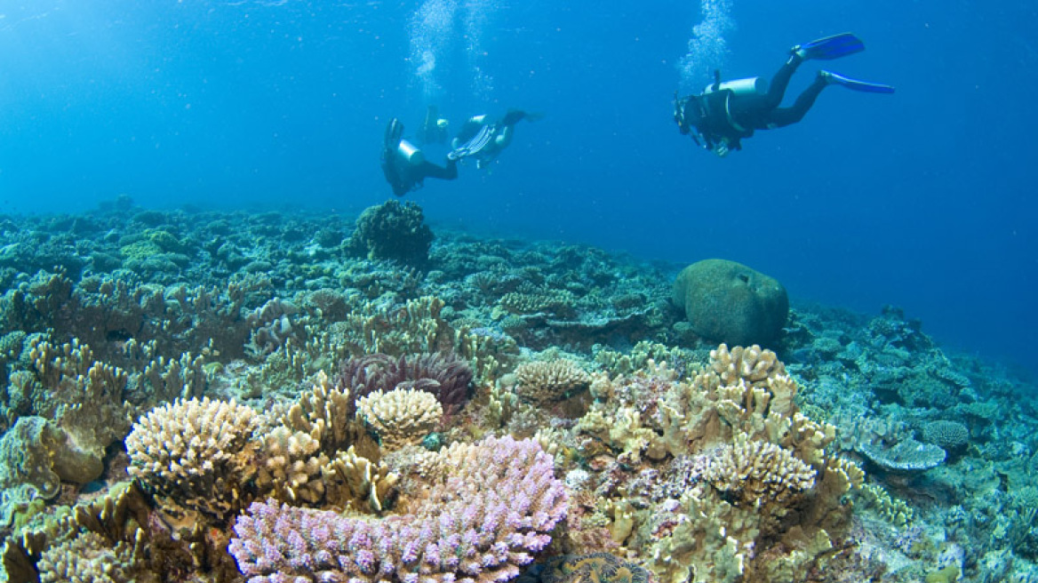 Αυστραλία: 49 εκατ. ευρώ για την προστασία του Μεγάλου Κοραλλιογενή Υφάλου