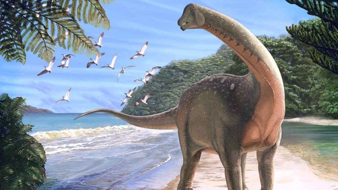 Giant dinasaur fossil discovered in Egypt