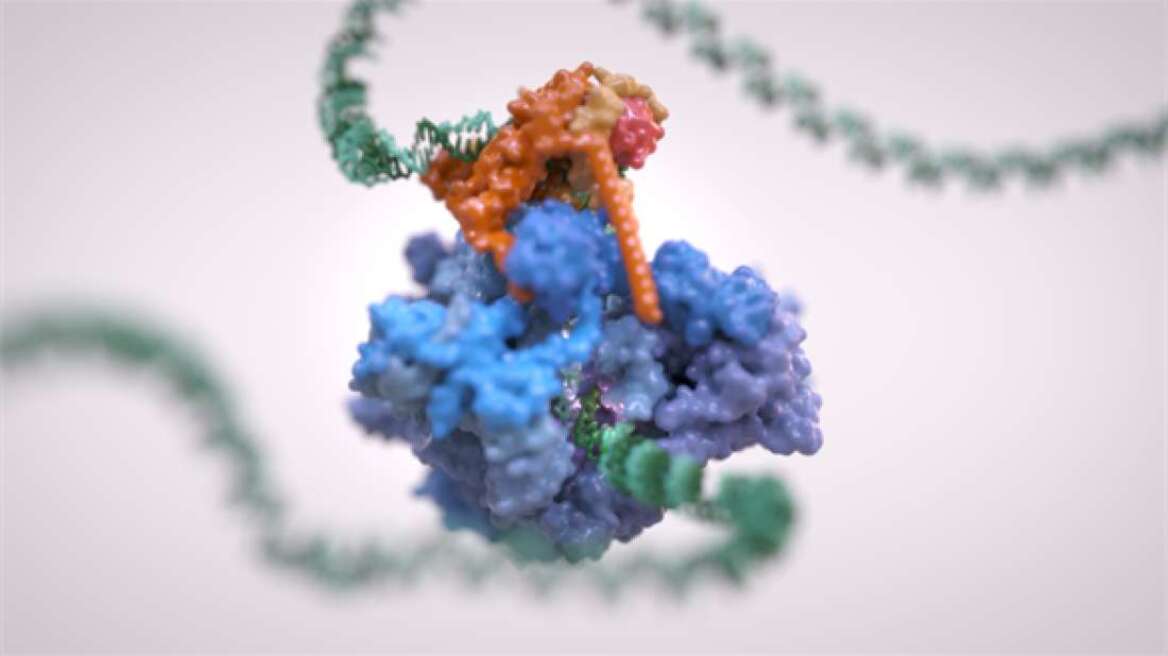 Scientists image DNA being read in unprecedented detail (VIDEO)