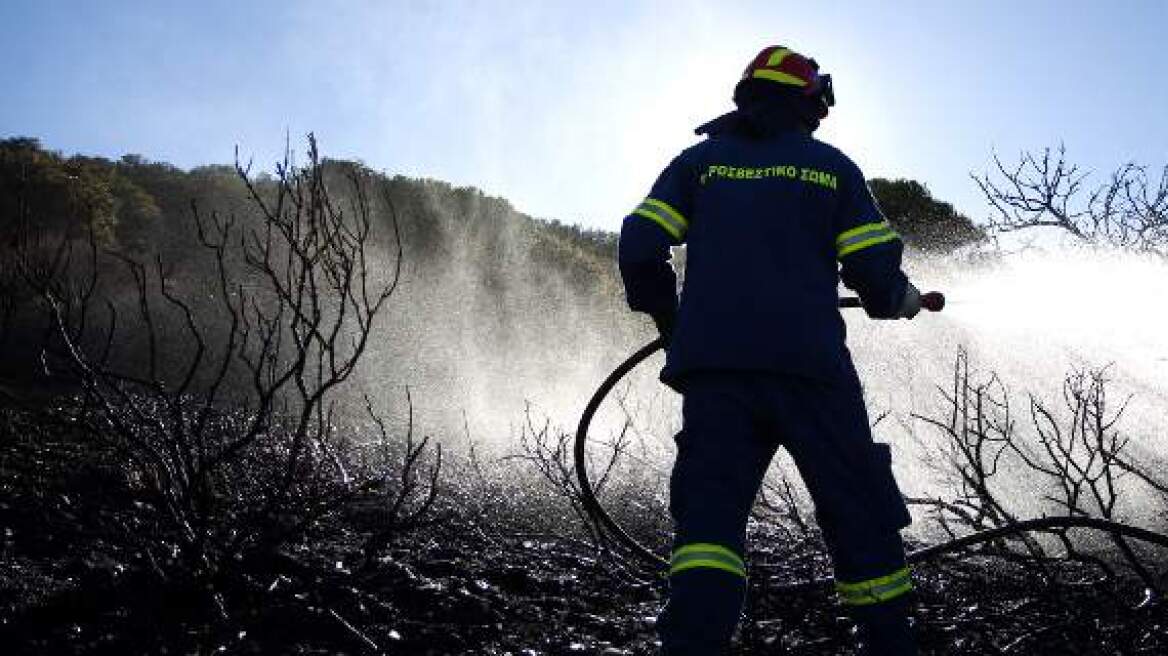 Χανιά: Πυρκαγιά σε δύσβατη περιοχή - Δεν απειλούνται καλλιέργειες