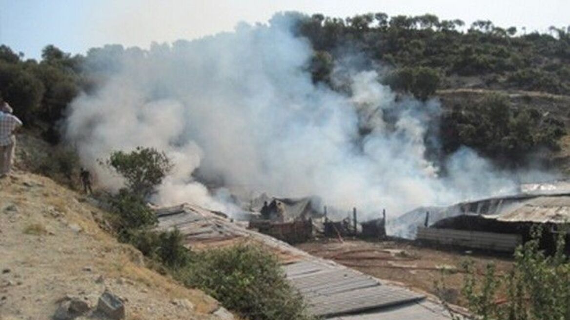 Κάηκαν εκατοντάδες χοίροι σε εκτροφείο στα Τρίκαλα