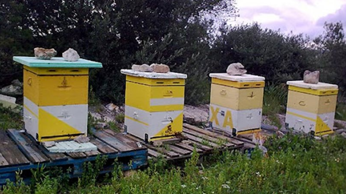 Έκλεβε κυψέλες μελισσών στην Εύβοια