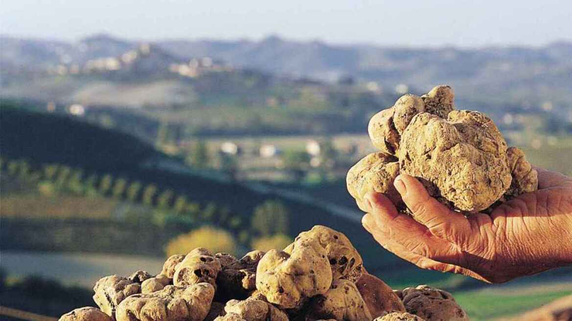 Gourmet Greek truffles taking markets by storm