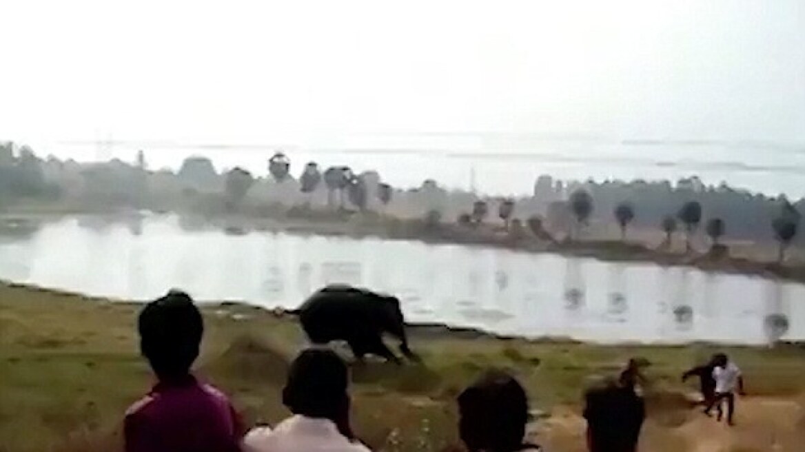 Σκληρό βίντεο: Εξαγριωμένος ελέφαντας ποδοπατά μέχρι θανάτου άνδρα στην Ινδία