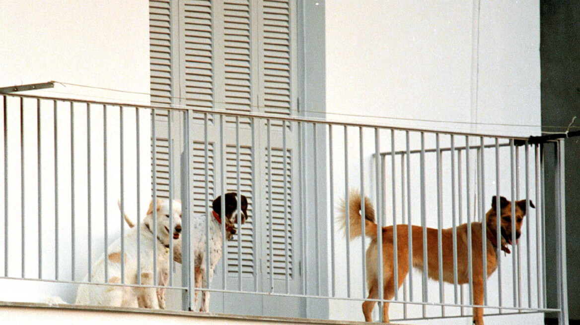 Κακοποίηση ζώων: Τι συνέβη με ασυνείδητο που είχε εγκαταλείψει σκύλο σε μπαλκόνι διαμερίσματος