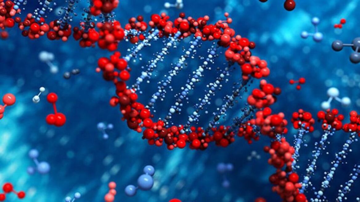 «Φως» στο γενετικό υπόβαθρο της εξυπνάδας: Βρέθηκαν γονίδια που συνδέονται με τη νοημοσύνη	