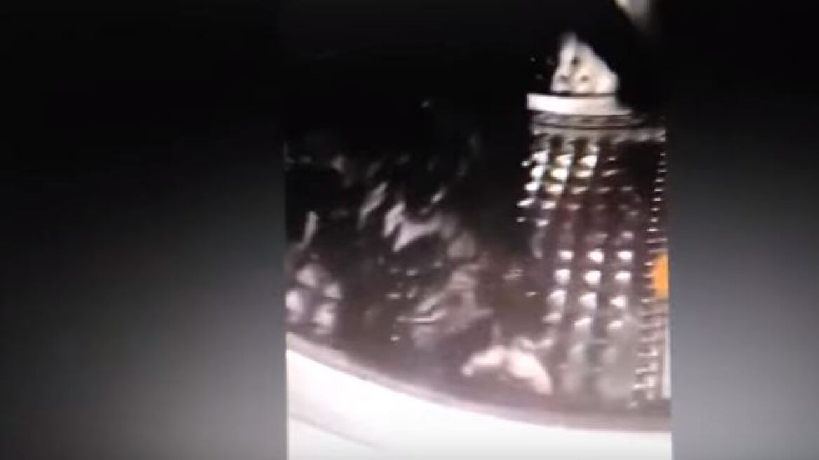 Απάνθρωπο βίντεο: Έβαλε γάτα σε πλυντήριο επειδή προσπάθησε να ζευγαρώσει με τη δική της
