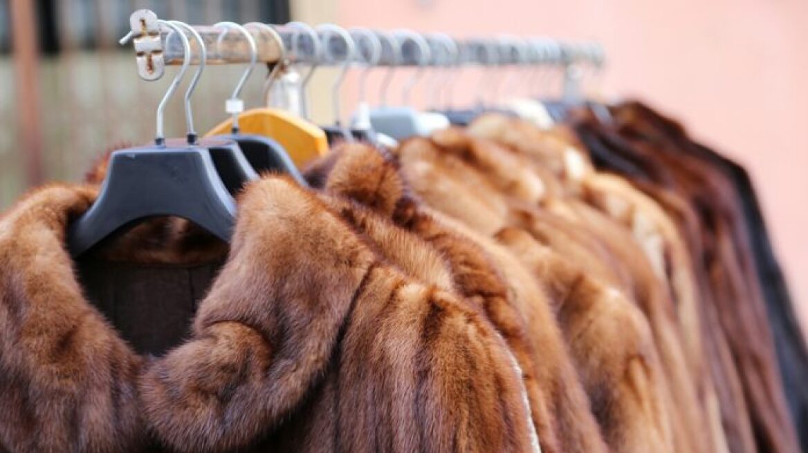 Furla και Versace δεν θα χρησιμοποιούν πλέον γούνα από ζώα