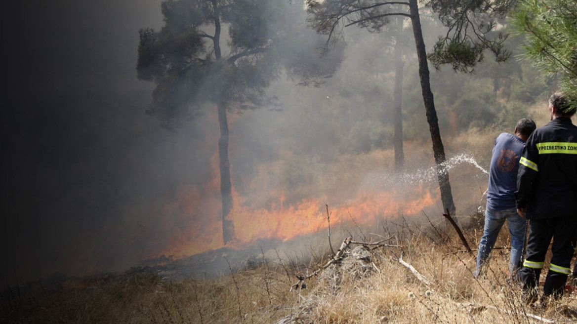 Συναγερμός στην πυροσβεστική μετά τις 130 δασικές πυρκαγιές σε 24 ώρες