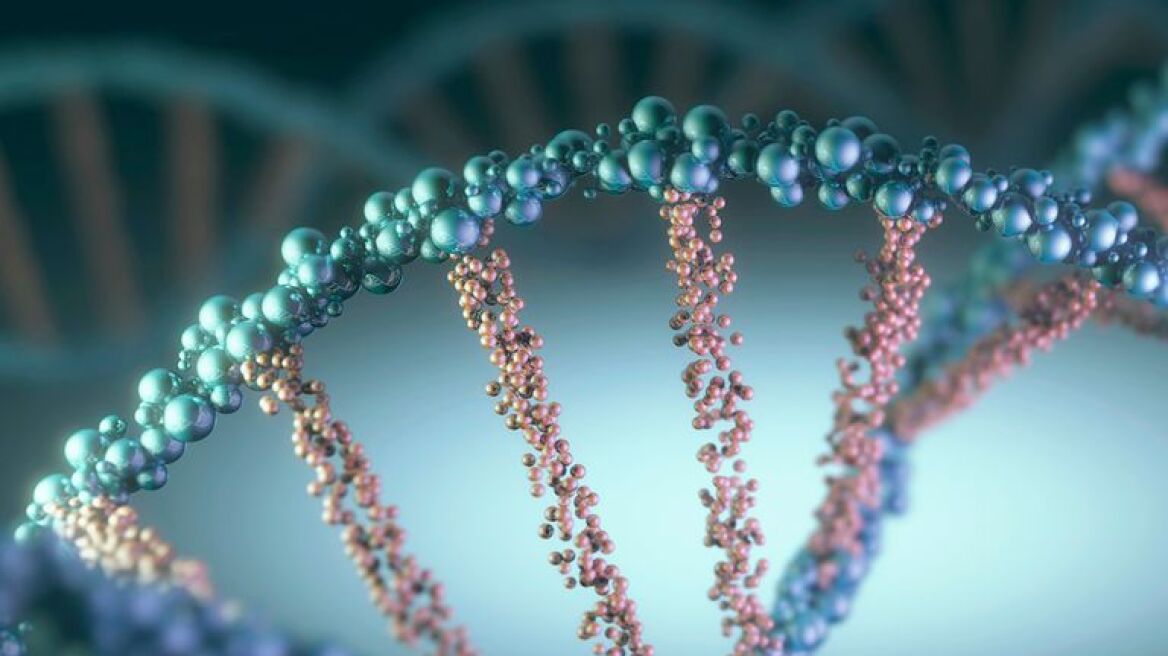 Το DNA των κατσαρίδων αποκαλύπτει γιατί είναι εξπέρ... στην επιβίωση