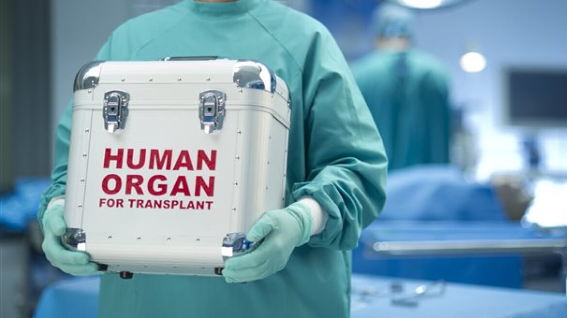 human_organ