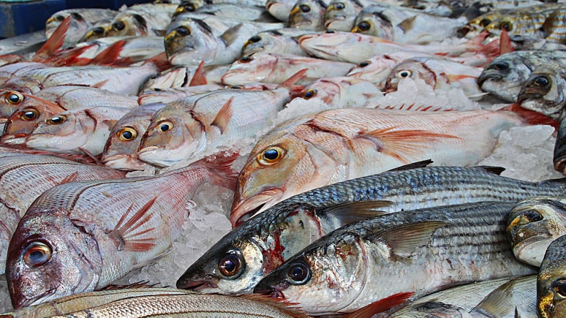 fish-market-nea