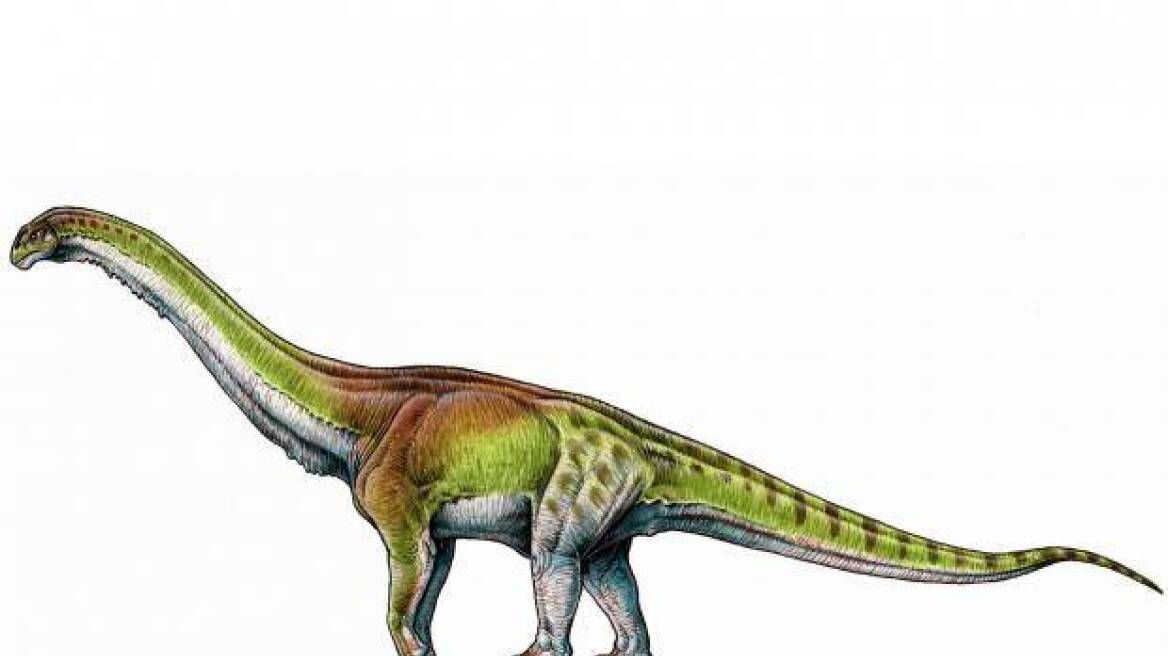 worlds-largest-dinosaur