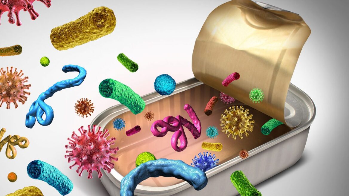 Bacteria-Food