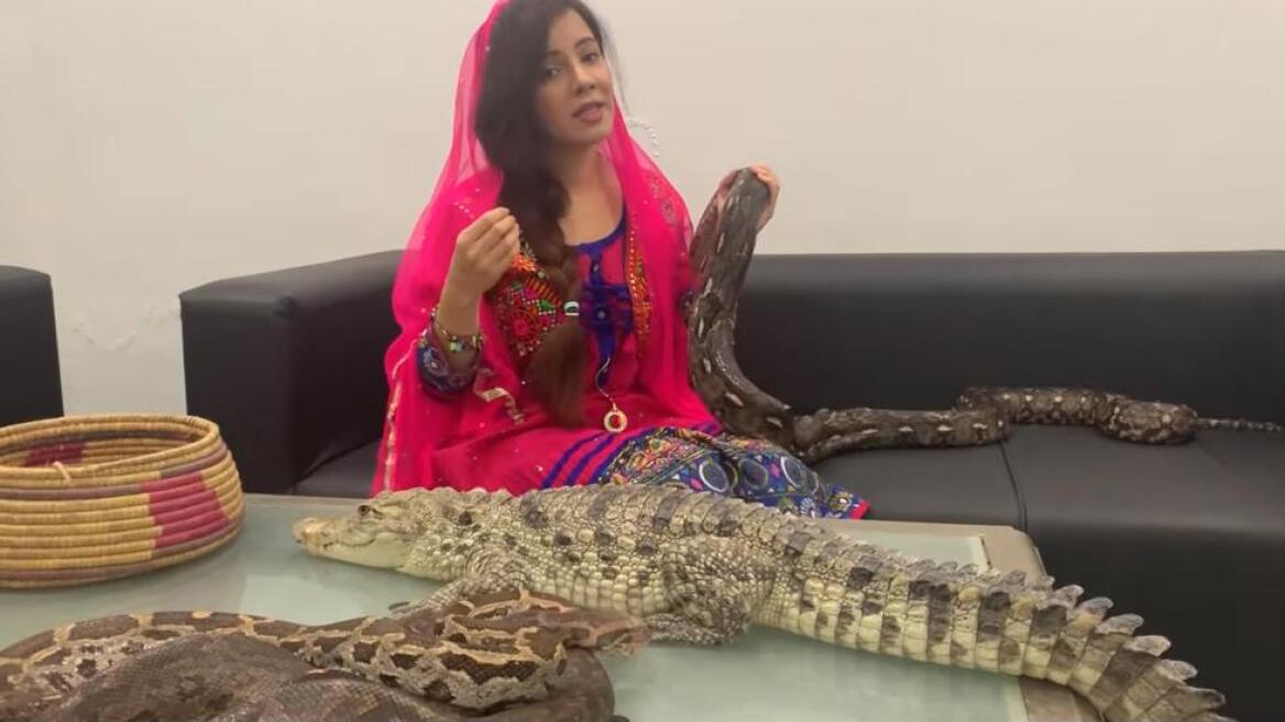 pakistan-snakes