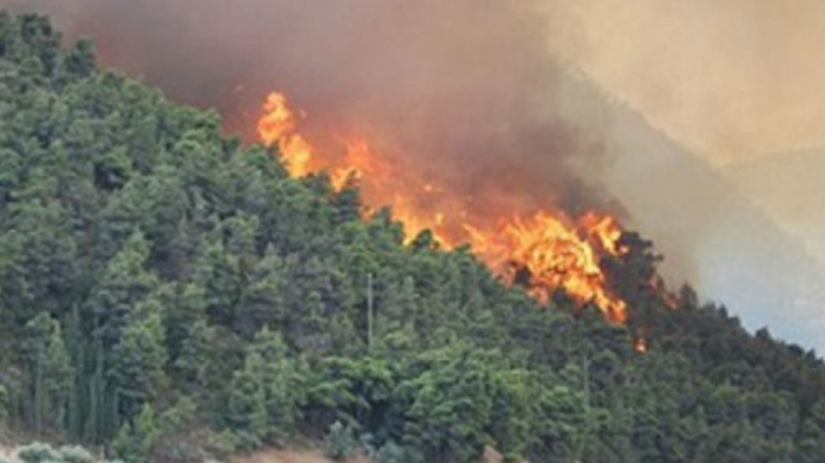 Πυρκαγιά στο Άγιο Όρος: Ολονύκτια μάχη με τις φλόγες δίνουν οι πυροσβεστικές  δυνάμεις