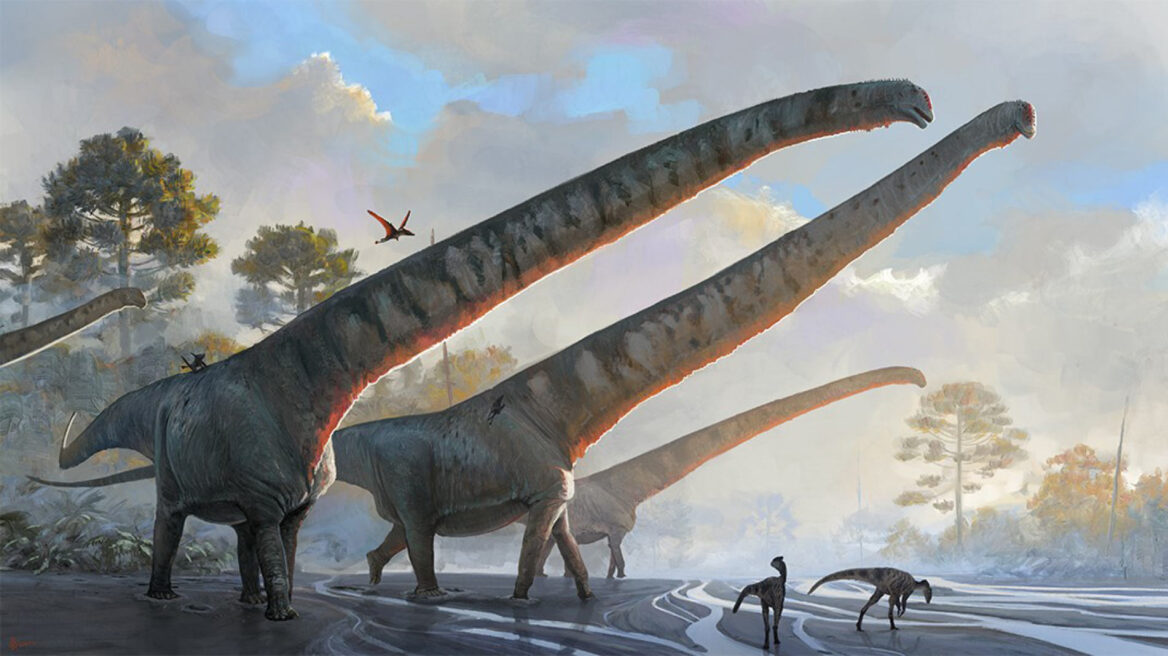 Mamenchisaurus-sinocanadorum