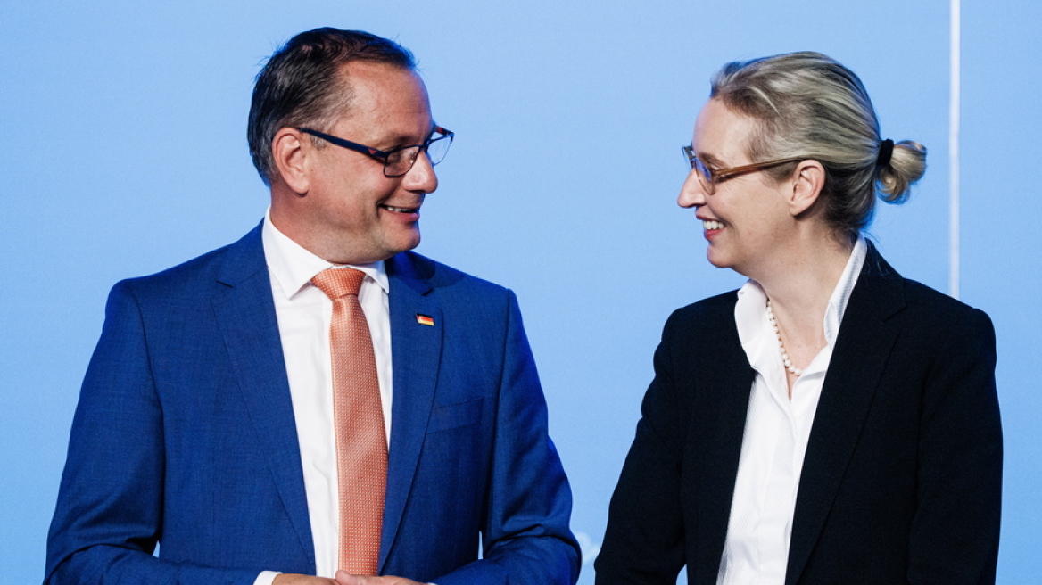 weidel_afd