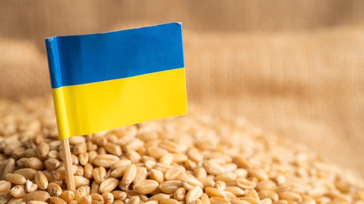 ukraine_grain