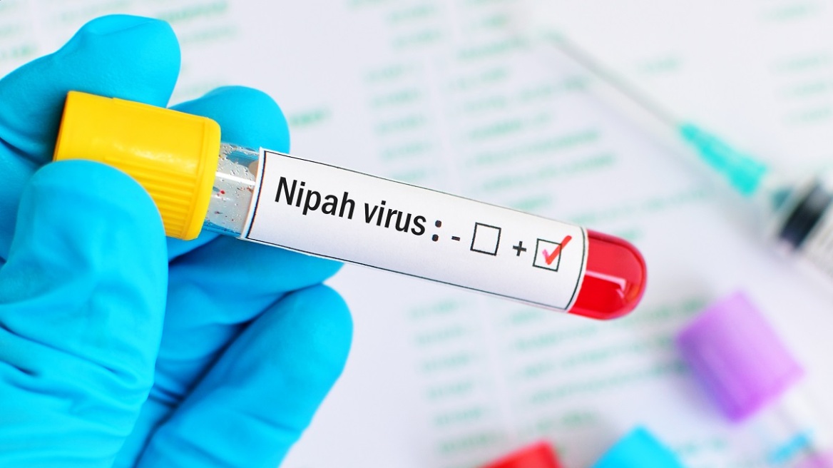 nipah_virus