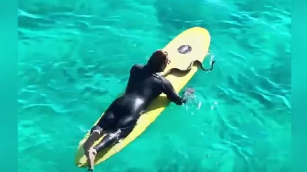 australia-surfer-pithonas