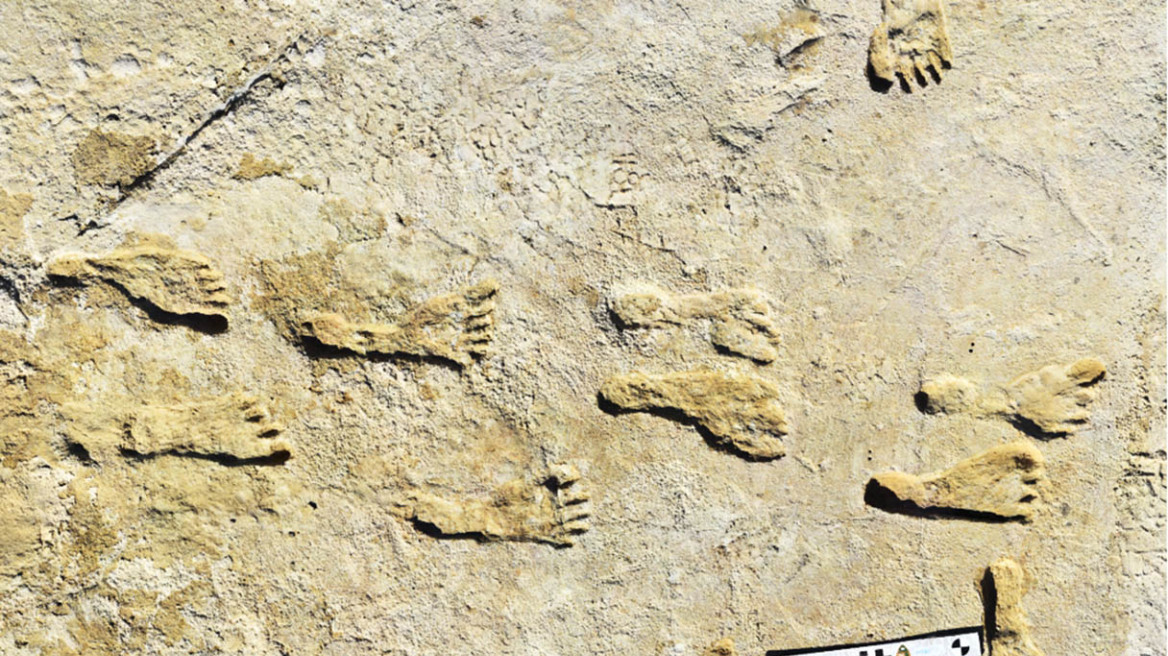white_sands_footprints