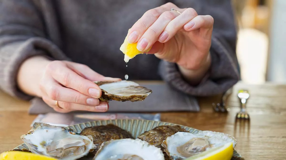 oysters_2316349561__1_