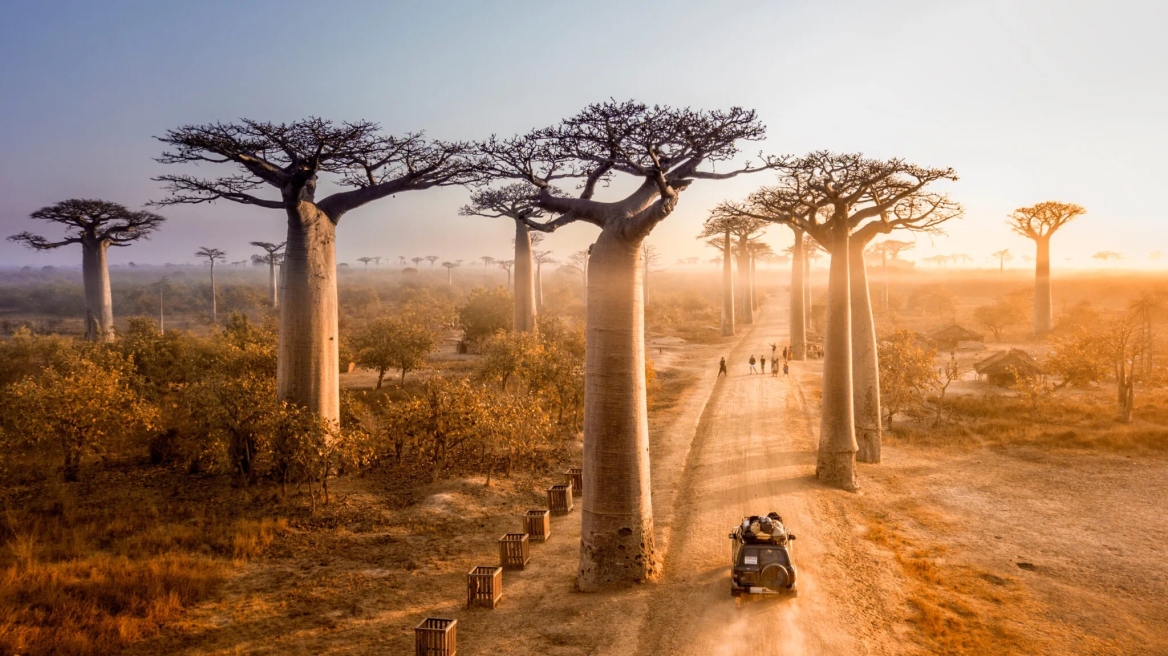 Avenue-de-Baobabs-2-2048x1336