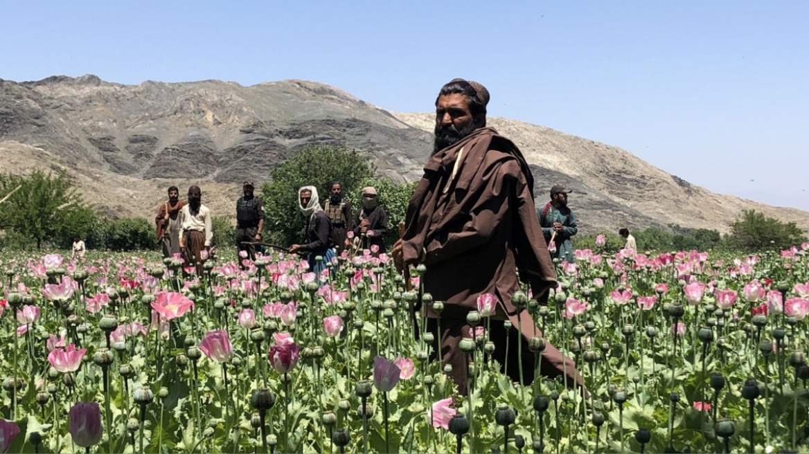 afghanistan_paparouna