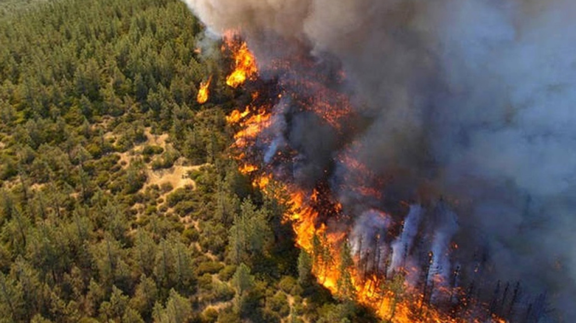 cyprus-fire-0