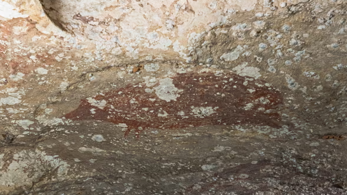 Η παλαιότερη σπηλαιογραφία στον κόσμο βρέθηκε στην Ινδονησία και είναι τουλάχιστον 51.000 ετών