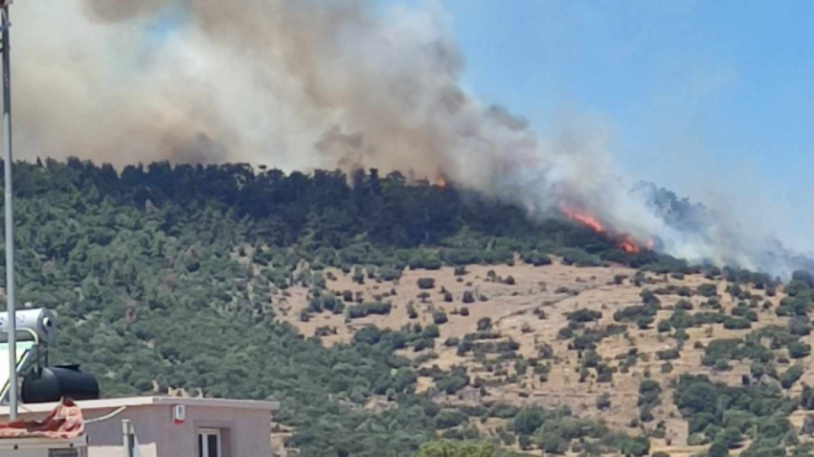 lesvos-torafotia