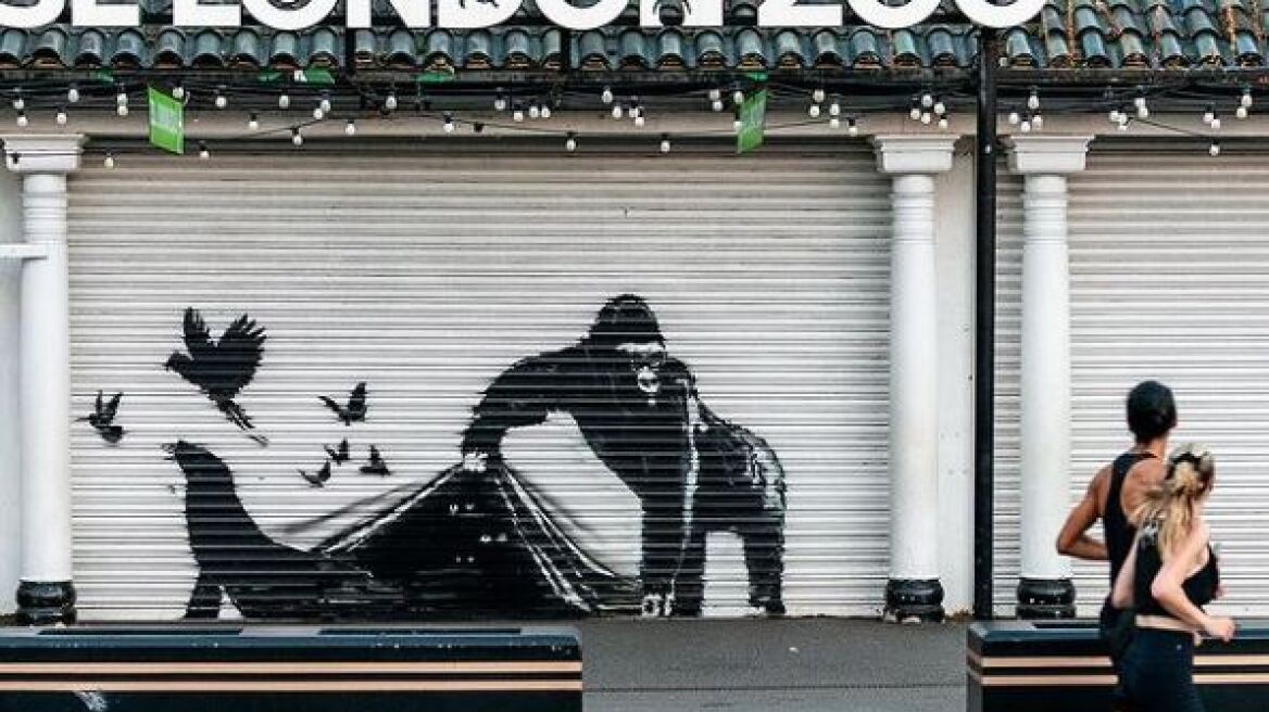 bansky-gorilas