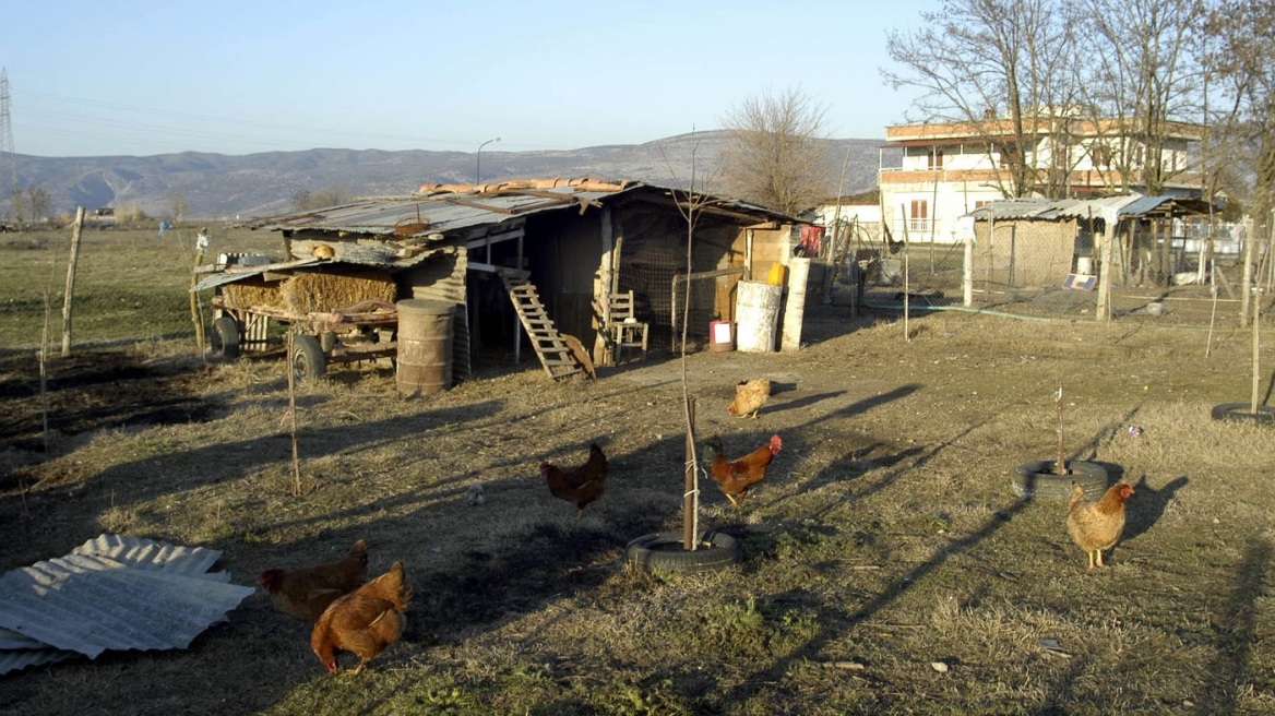 Συνταξιούχος που ζει σε κοτέτσι για να μην έχει επαφή με σύζυγο και κόρη