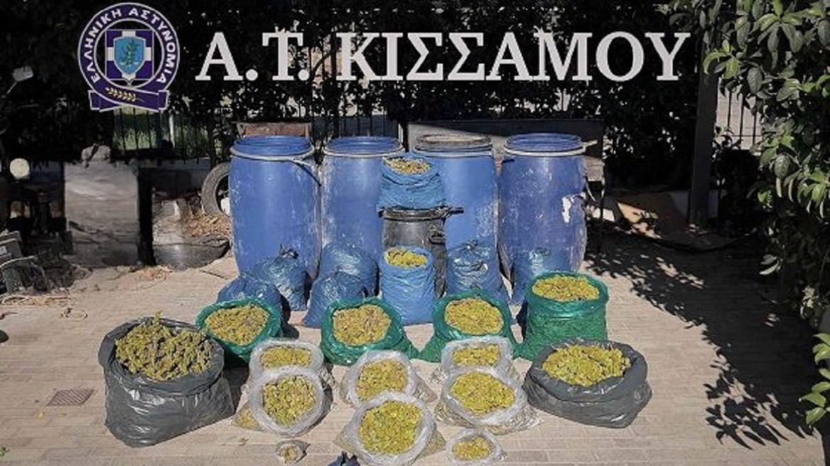 κανναβη-1