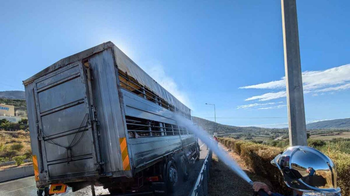 Ιόνια Οδός: Φωτιά πήρε νταλίκα με ζώα κοντά στην Αμφιλοχία