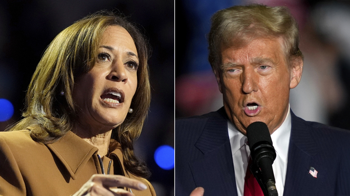 art-trump-harris