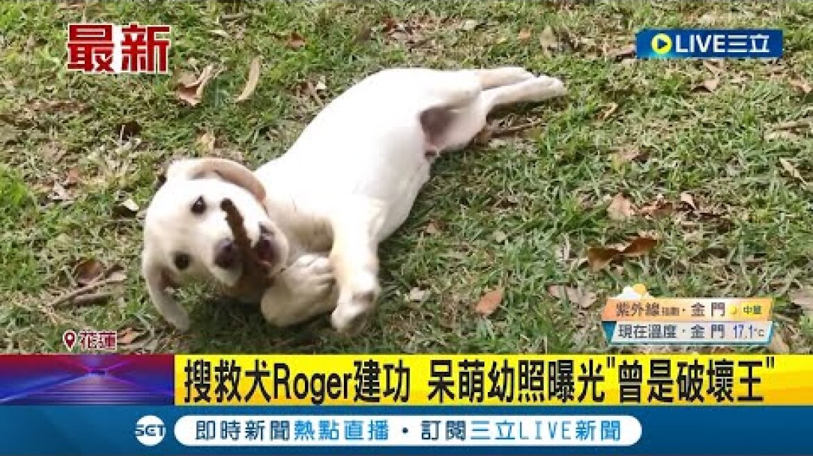 搜救犬Roger建功 呆萌幼照曝光"曾是破壞王" 搜救犬Roger立功 網喊盼陳其邁"快加菜" │記者 吳繢杉 黃大衛 │【LIVE大現場】20240407│三立新聞台