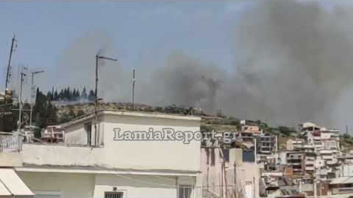 LamiaReport.gr: Λαμία: Πυρκαγιά δίπλα στα σπίτια