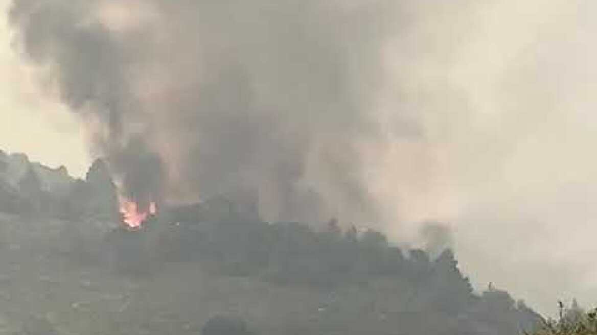 Φωτιά: Σοφιανά Κορινθίας