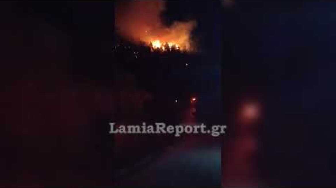 LamiaReport.gr: Συνεχίζει να καίει η πυρκαγιά στα Καραβίδια Μώλου