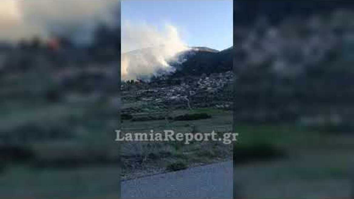 LamiaReport.gr: Πυρκαγιά στα Καραβίδια Μενδενίτσας