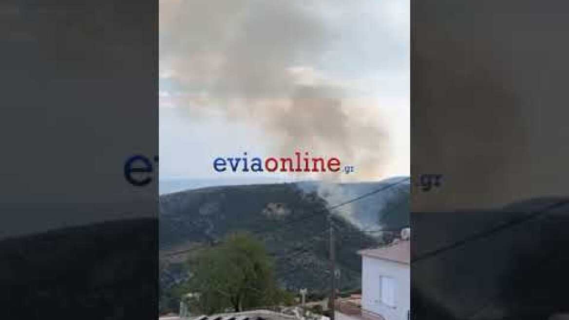 Εύβοια: Φωτιά στο Τραχήλι