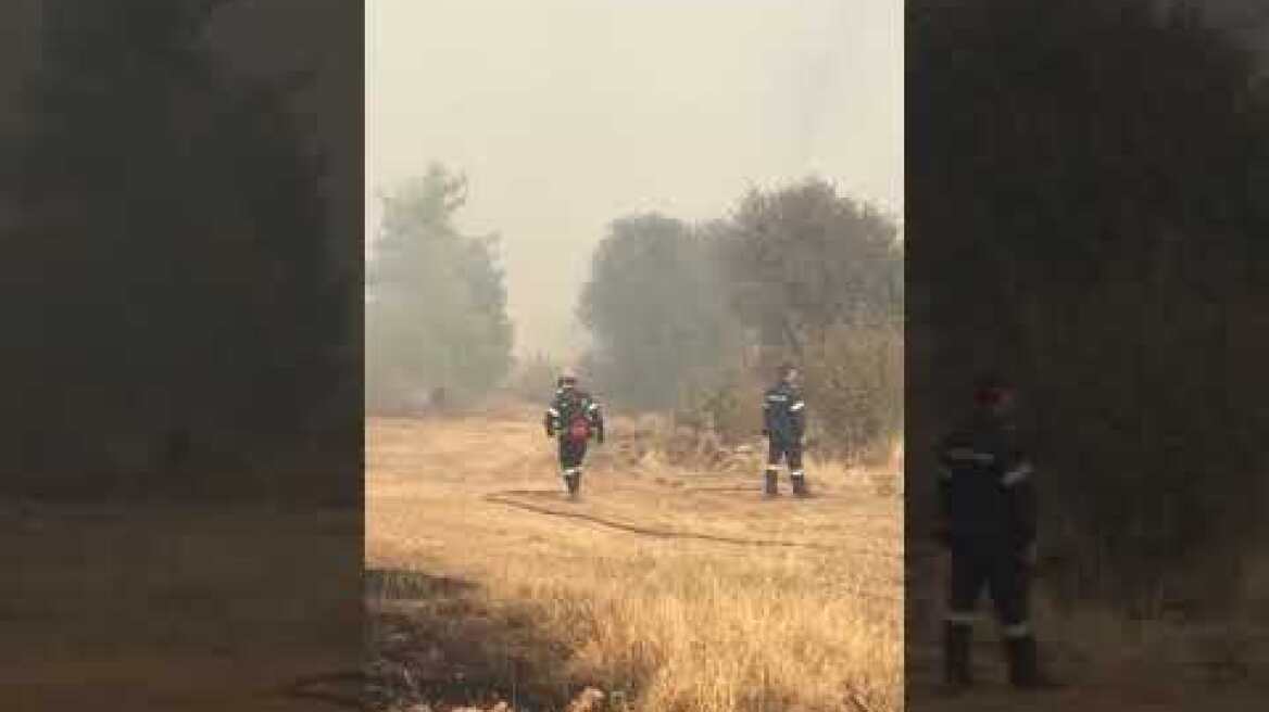 Φωτιά στην Κορινθία (4)